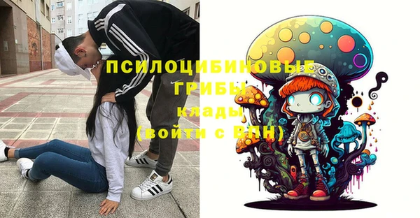 стафф Волоколамск