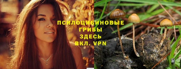 герыч Володарск